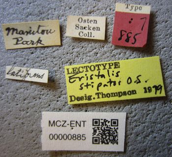 Media type: image;   Entomology 885 Aspect: labels